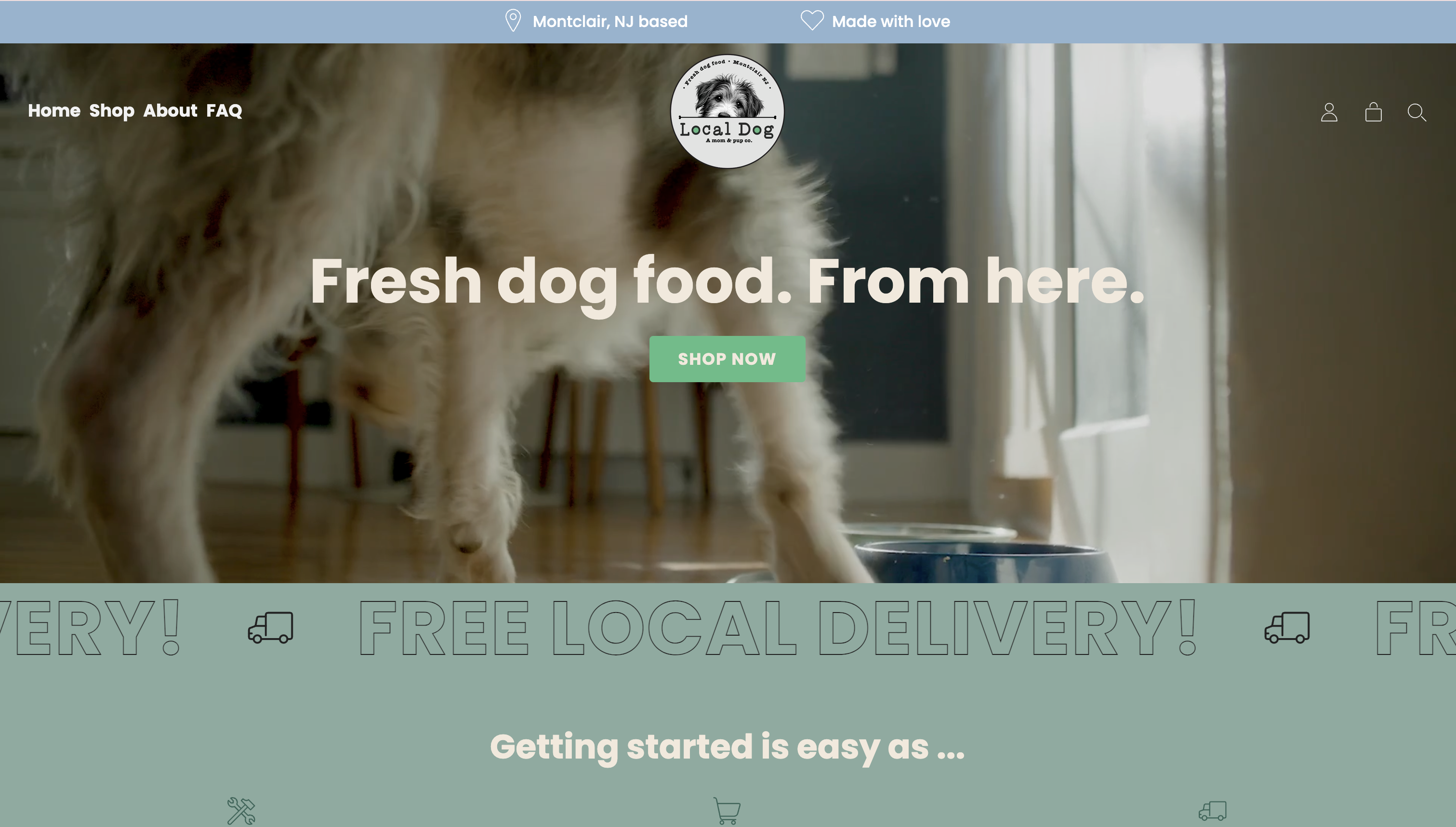 Local Dog user interface screenshot